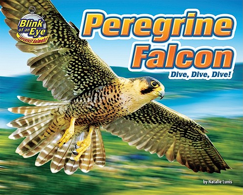 Peregrine Falcon: Dive, Dive, Dive! PEREGRINE FALCON （Blink of an Eye: Superfast Animals） [ Natalie Lunis ]