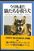今日もまた猫たちを救う犬