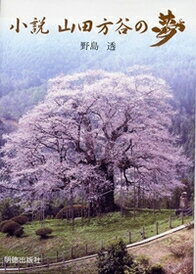 小説 山田方谷の夢 [ 野島 透 ]の商品画像