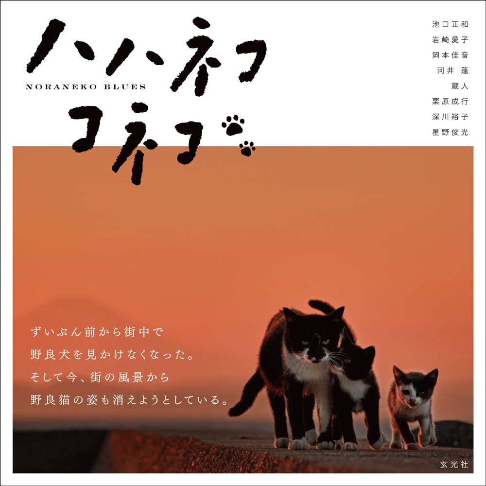 ハハネコ コネコ