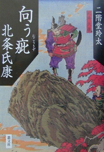 向う疵北条氏康