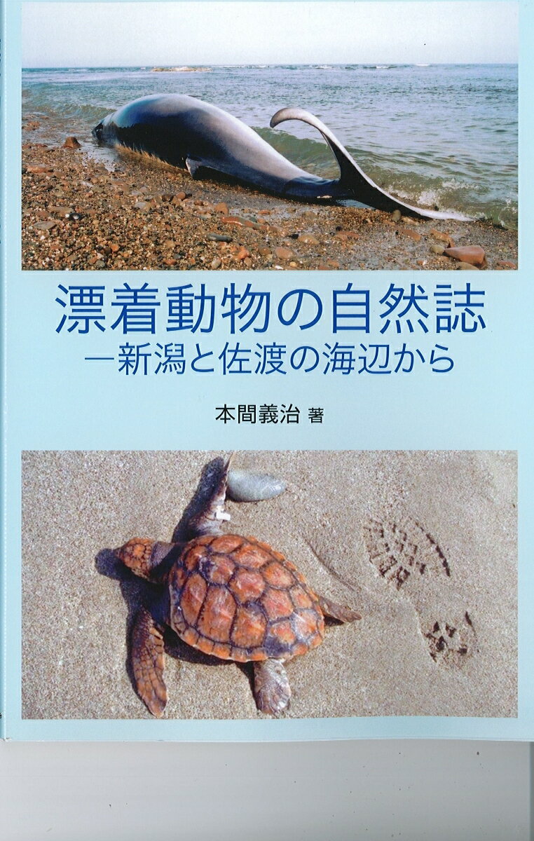 漂着動物の自然誌