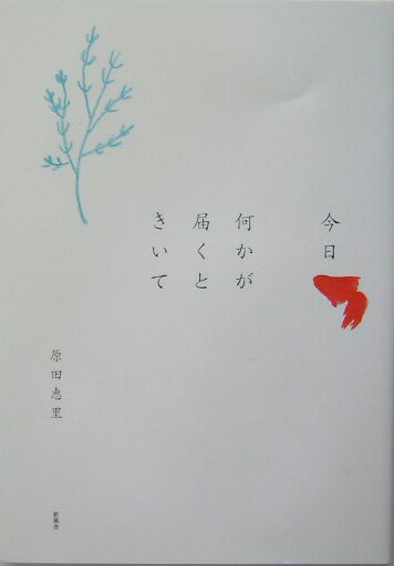 今日何かが届くときいて