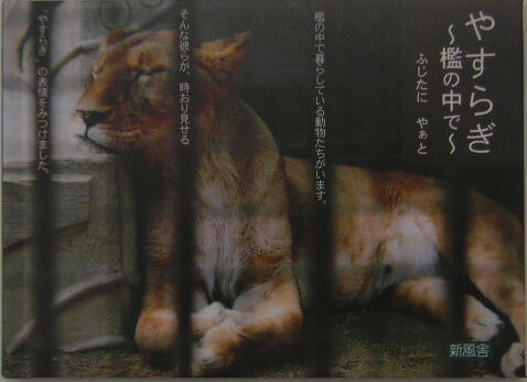 やすらぎ