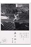 島のねこ