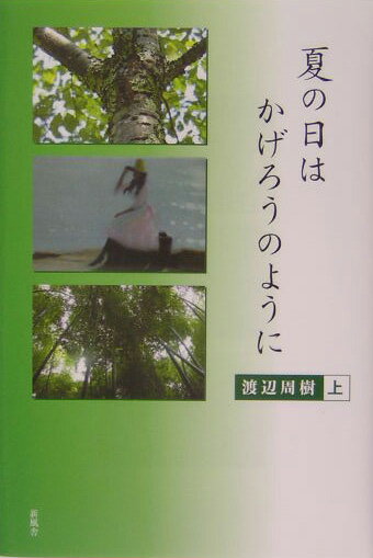 夏の日はかげろうのように（上）