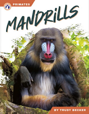 Mandrills MANDRILLS [ Trudy Becker ]