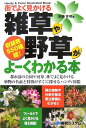 街でよく見かける雑草や野草がよーくわかる本 収録数550種超！　Handy　＆　color　i [  ...