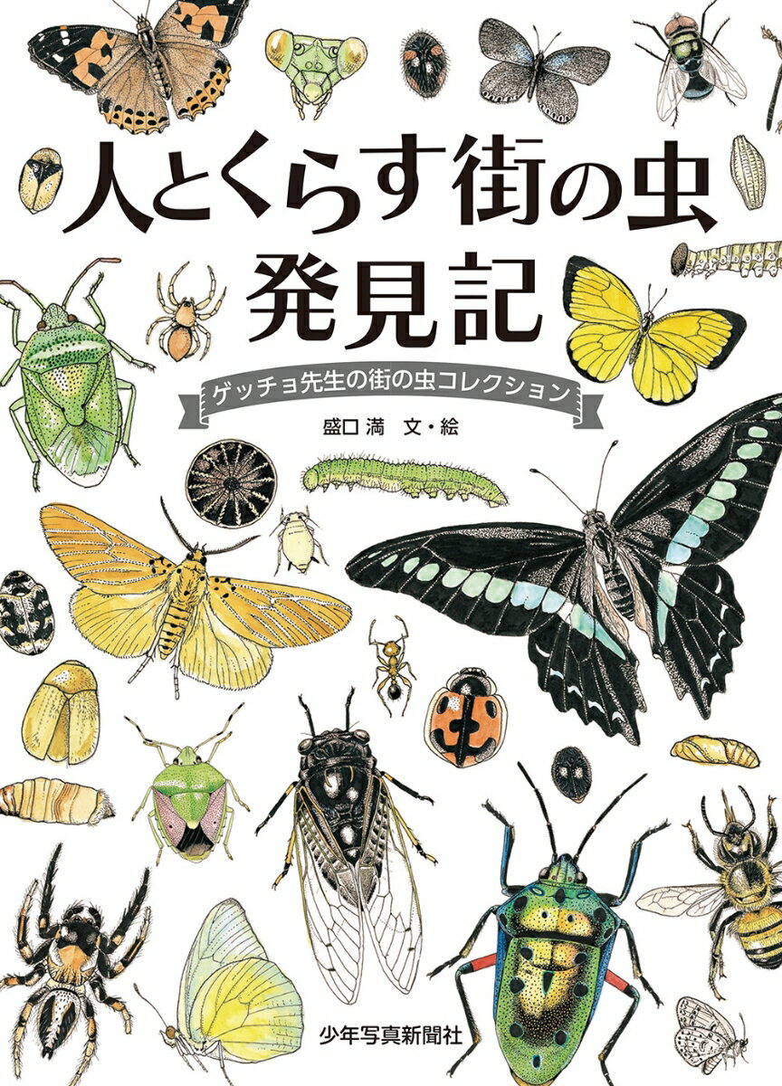 人とくらす 街の虫 発見記