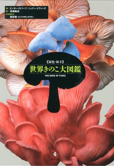 世界きのこ大図鑑