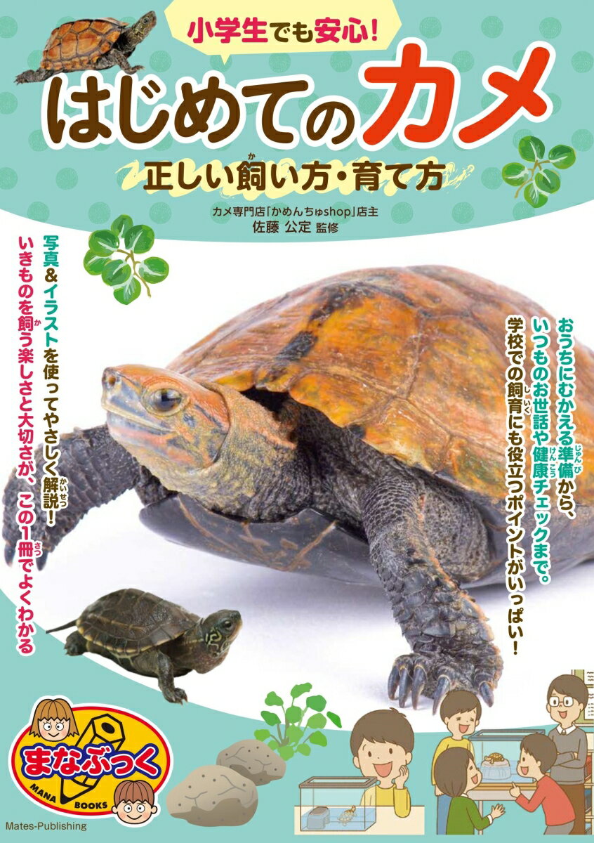 小学生でも安心! はじめてのカメ 正しい飼い方・育て方