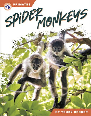 Spider Monkeys SPIDER MONKEYS [ Trudy Becker ]