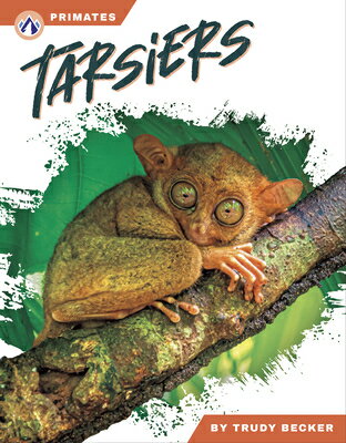 Tarsiers TARSIERS 