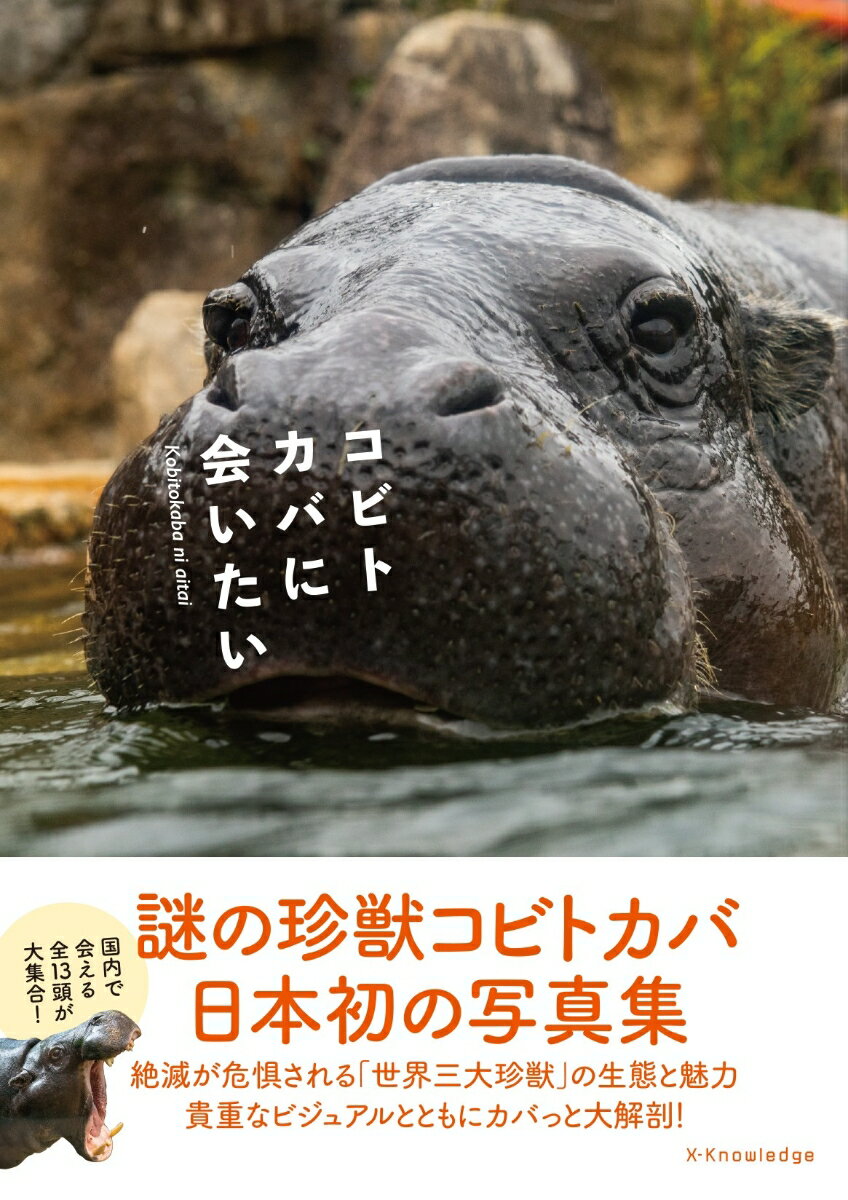 エクスナレッジ発行年月：2020年08月25日 予約締切日：2020年07月21日 ISBN：9784767828008 もっと知りたい！コビトカバのことーまずはここから…の基礎知識（実はカバの先祖？の「生きた化石」　分類と分布／水陸OK仕様、でも中心は陸上　生態／水中より陸棲に有利な特徴を持つ　体のつくり　ほか）／日本で会える！コビトカバたち（エボニー／ショウヘイ／名前非公表　ほか）／コビトカバに会える日本の施設ガイド（東京都恩賜上野動物園／名古屋市東山動植物園／いしかわ動物園　ほか） 謎の珍獣コビトカバ、日本初の写真集。絶滅が危惧される「世界三大珍獣」の生態と魅力。貴重なビジュアルとともにカバっと大解剖！国内で会える全13頭が大集合！ 本 科学・技術 動物学 写真集・タレント 動物・自然