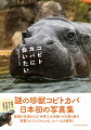 謎の珍獣コビトカバ、日本初の写真集。絶滅が危惧される「世界三大珍獣」の生態と魅力。貴重なビジュアルとともにカバっと大解剖！国内で会える全１３頭が大集合！