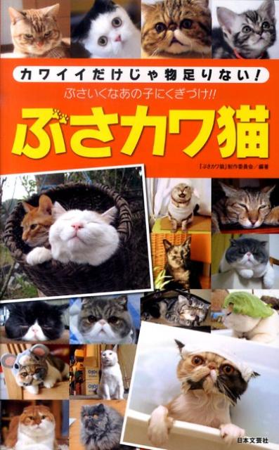 ぶさカワ猫 カワイイだけじゃ物足りない！ （日文新書PLUS） [ 『ぶさカワ猫』制作委員会 ]
