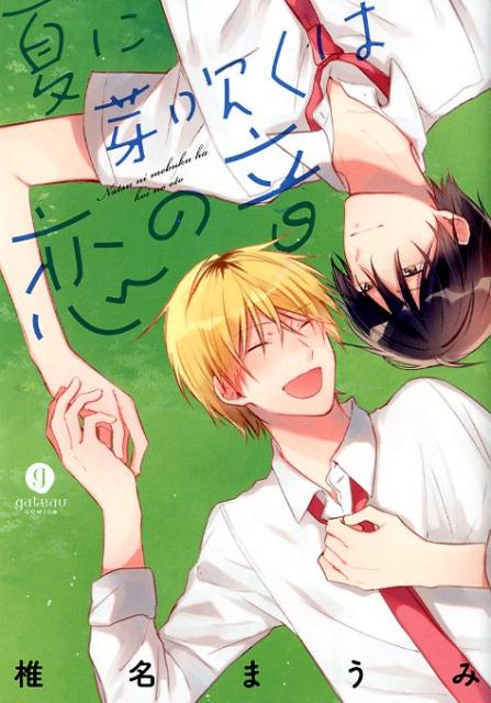 夏に芽吹くは恋の音