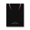 【輸入盤】2NDフル・アルバム：ボーン・ピンク