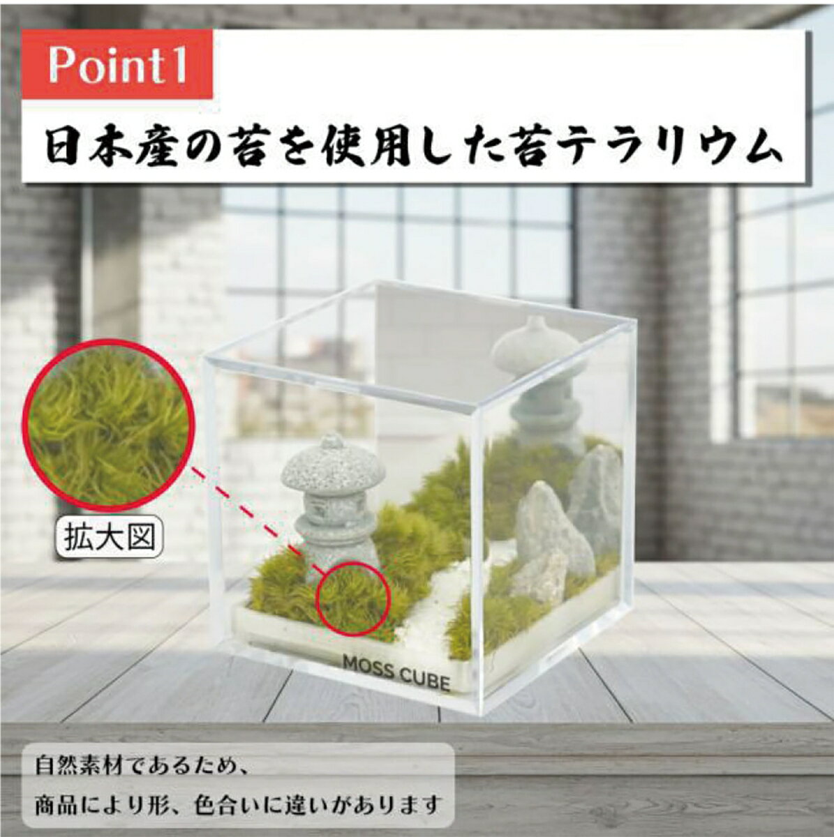 MOSS CUBE(R) Preserved 苔庭の小径 【MCP-001】 (ディスプレイ用品)