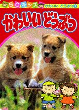 かわいいどうぶつ