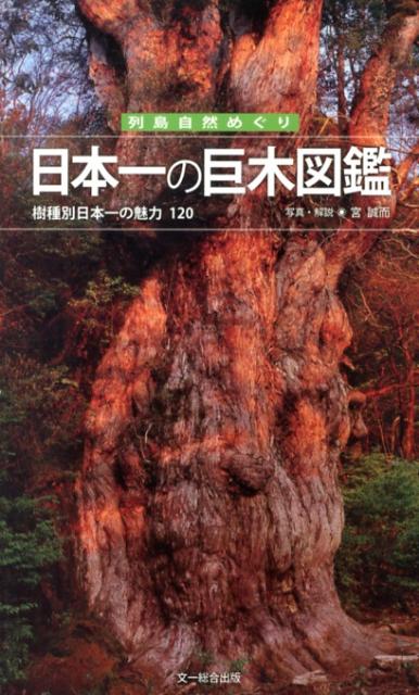 日本一の巨木図鑑 樹種別日本一の魅力120 （列島自然めぐり） [ 宮誠而 ]