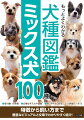 受け継いだ性格、必要な手入れや運動、飼いやすさの目安、などの詳細データつき。特徴から飼い方まで、豊富なビジュアルと文章でわかりやすく紹介！