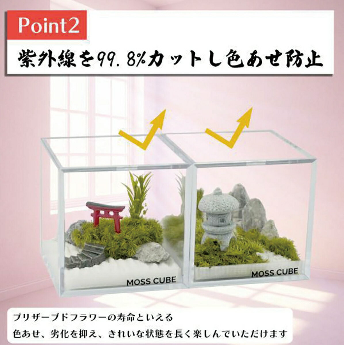 MOSS CUBE(R) Preserved 苔庭と鳥居 【MCP-002】 (ディスプレイ用品)