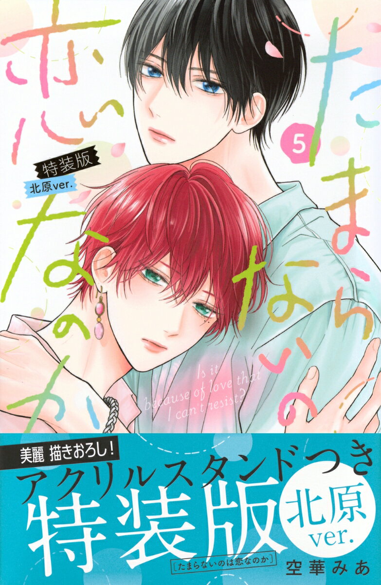 たまらないのは恋なのか（5）特装版　北原ver．