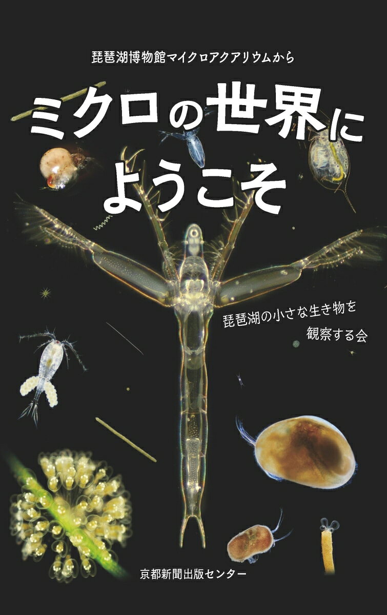 ミクロの世界にようこそ