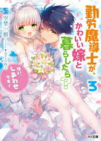 勤労魔導士が、かわいい嫁と暮らしたら？ 3「はい、しあわせです！」