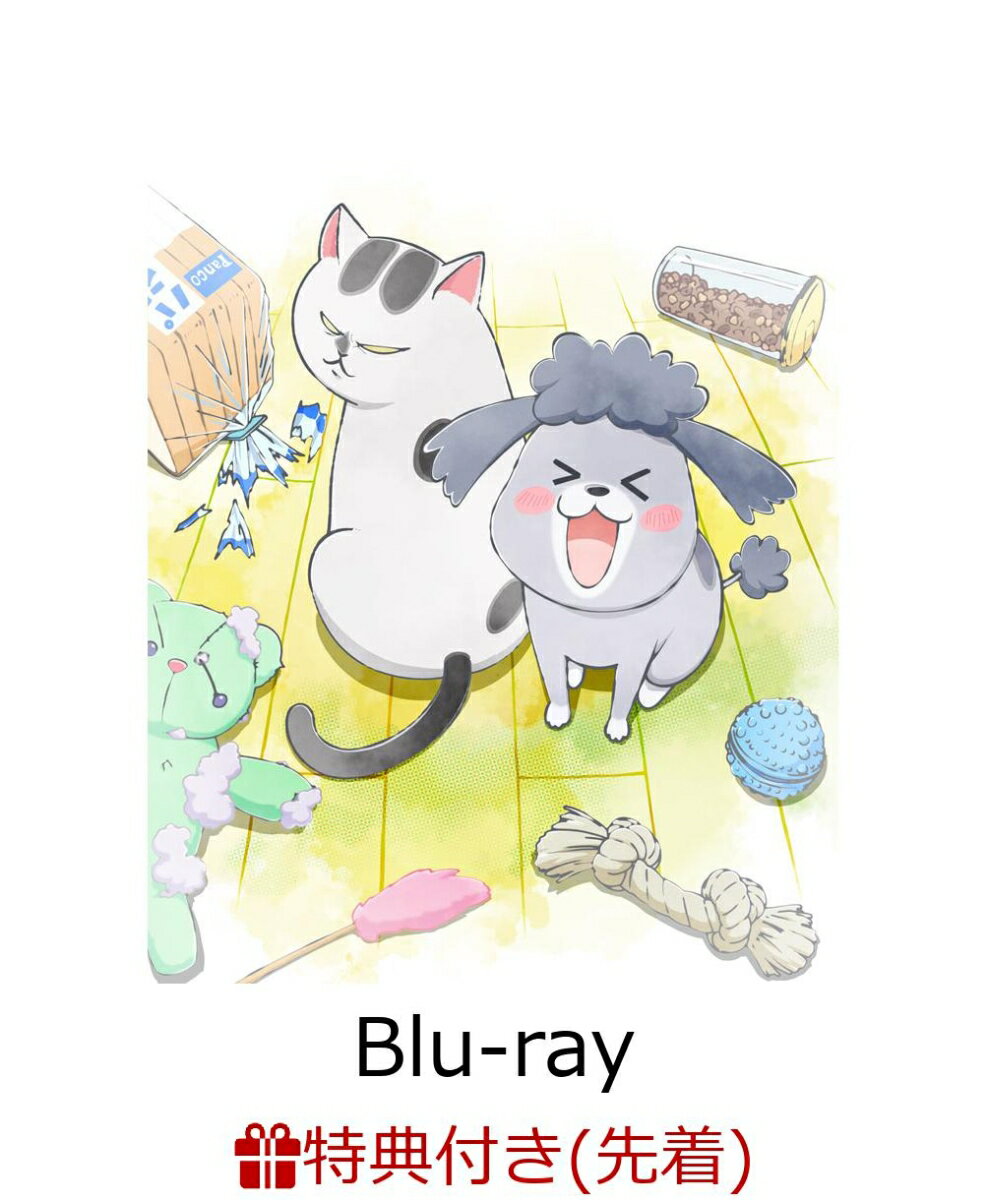 【先着特典】犬と猫どっちも飼ってると毎日たのしい Blu-ray（初回限定生産）【Blu-ray】(猫さまヘアゴム)