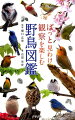 国内で見られる野鳥から代表的な３２４種を選び、掲載した野鳥図鑑です（最新の分類に対応）。特徴や見わけのポイントはもちろん、観察したい行動やおもしろい生態、探し方も紹介。２２６種の鳴き声も聴けます（スマートフォン対応）。鳥を見わけたら、行動をじっくり観察することで発見があります。これから始めたい方から、もっと楽しみたい方まで、楽しい野鳥観察のお手伝いをさせていただくのが本書です。本書を散歩や自然観察、山歩きや旅行の供にし、バードウォッチングを楽しんで下さい！