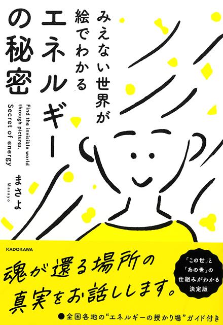 【バーゲン本】エネルギーの秘密ーみえない世界が絵でわかる
