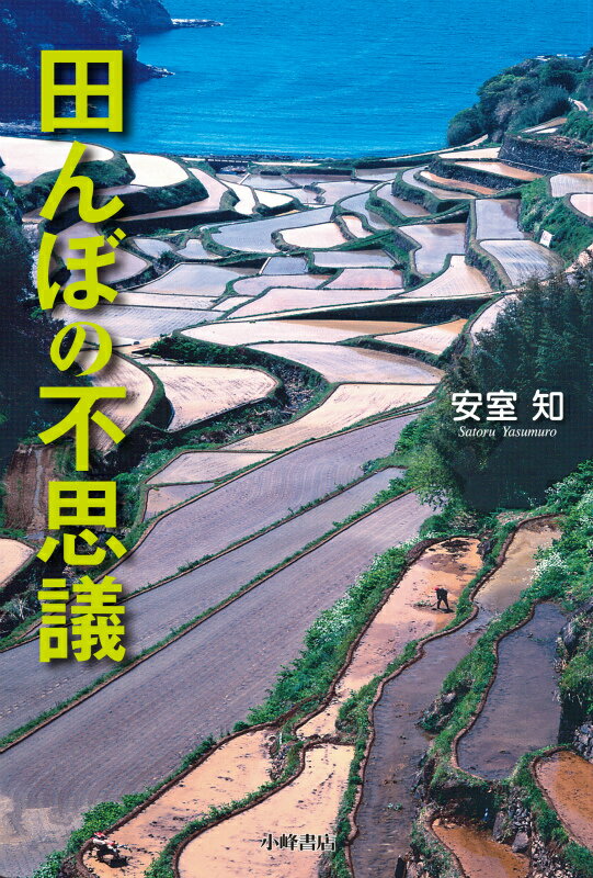 �Ĥ�ܤ��Ի׵� �ʼ������������ [ �¼��� ]