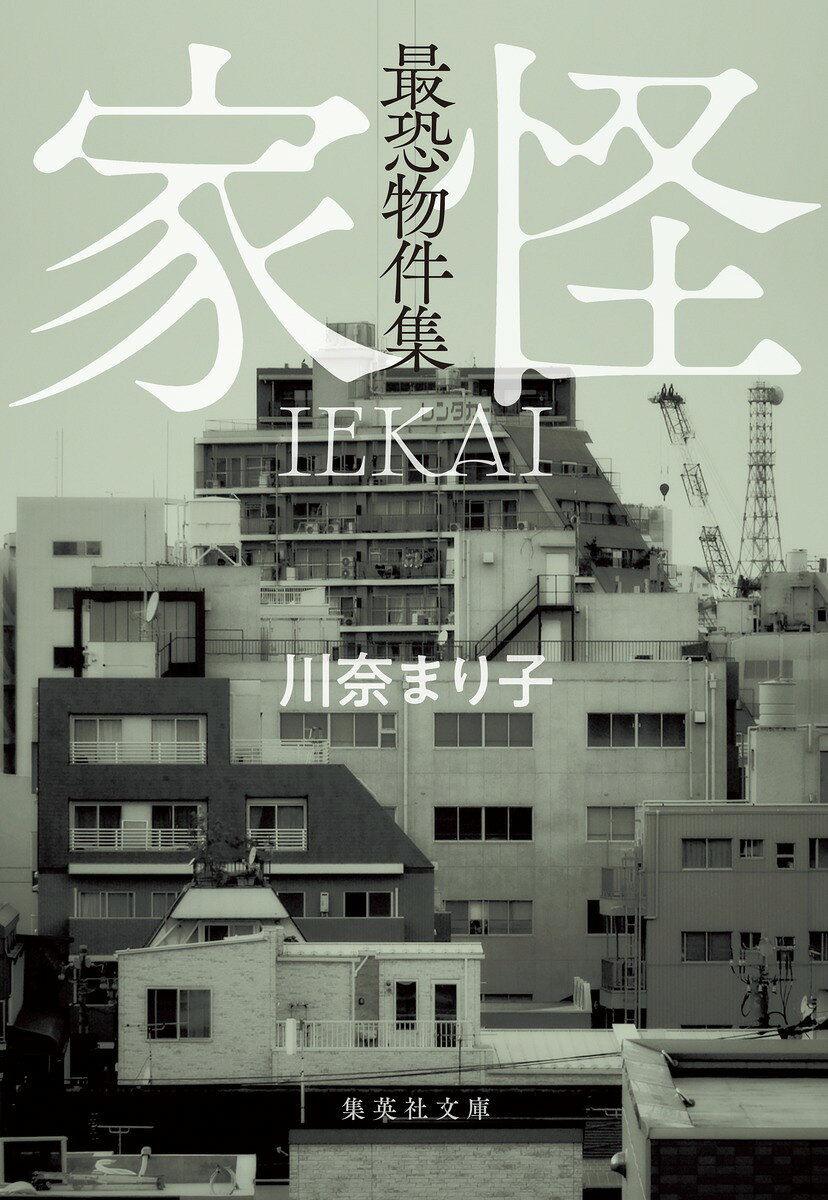 最恐物件集 家怪