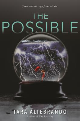 The Possible POSSIBLE [ Tara Altebrando ]
