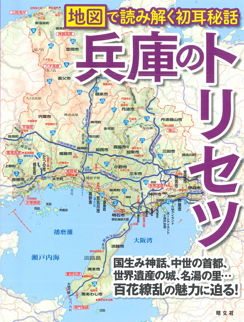 兵庫のトリセツ 地図で読み解く初耳秘話 [ 先崎仁 ]