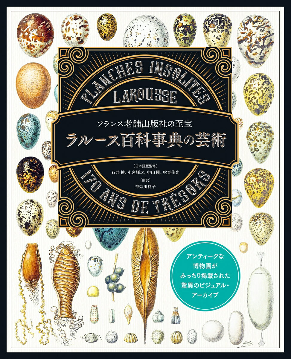 ラルース百科事典の芸術 フランス老舗出版社の至宝 [ ラルース ]