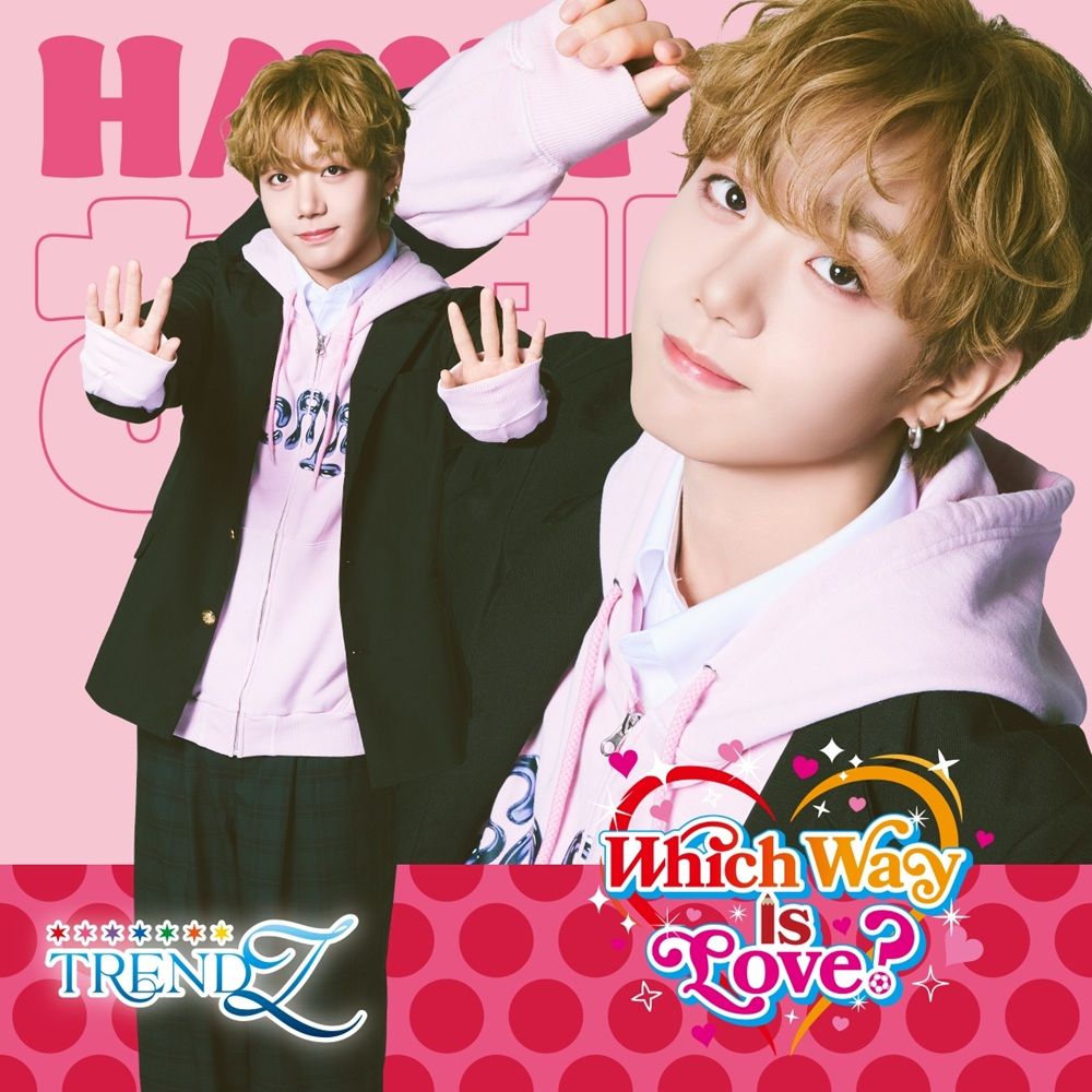 Which Way Is Love? (HAVIT ver)