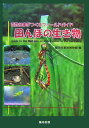 田んぼの生き物 百姓仕事がつくるフィールドガイド [ 飯田市美術博物館 ]