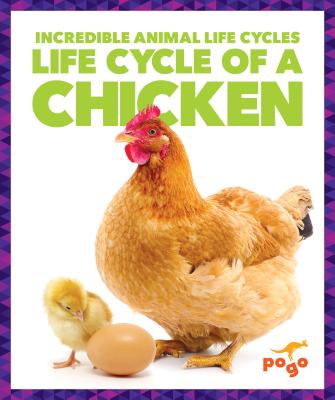 Life Cycle of a Chicken LIFE CYCLE OF A CHICKEN （Incredible Animal Life Cycles） [ Karen Kenney ]