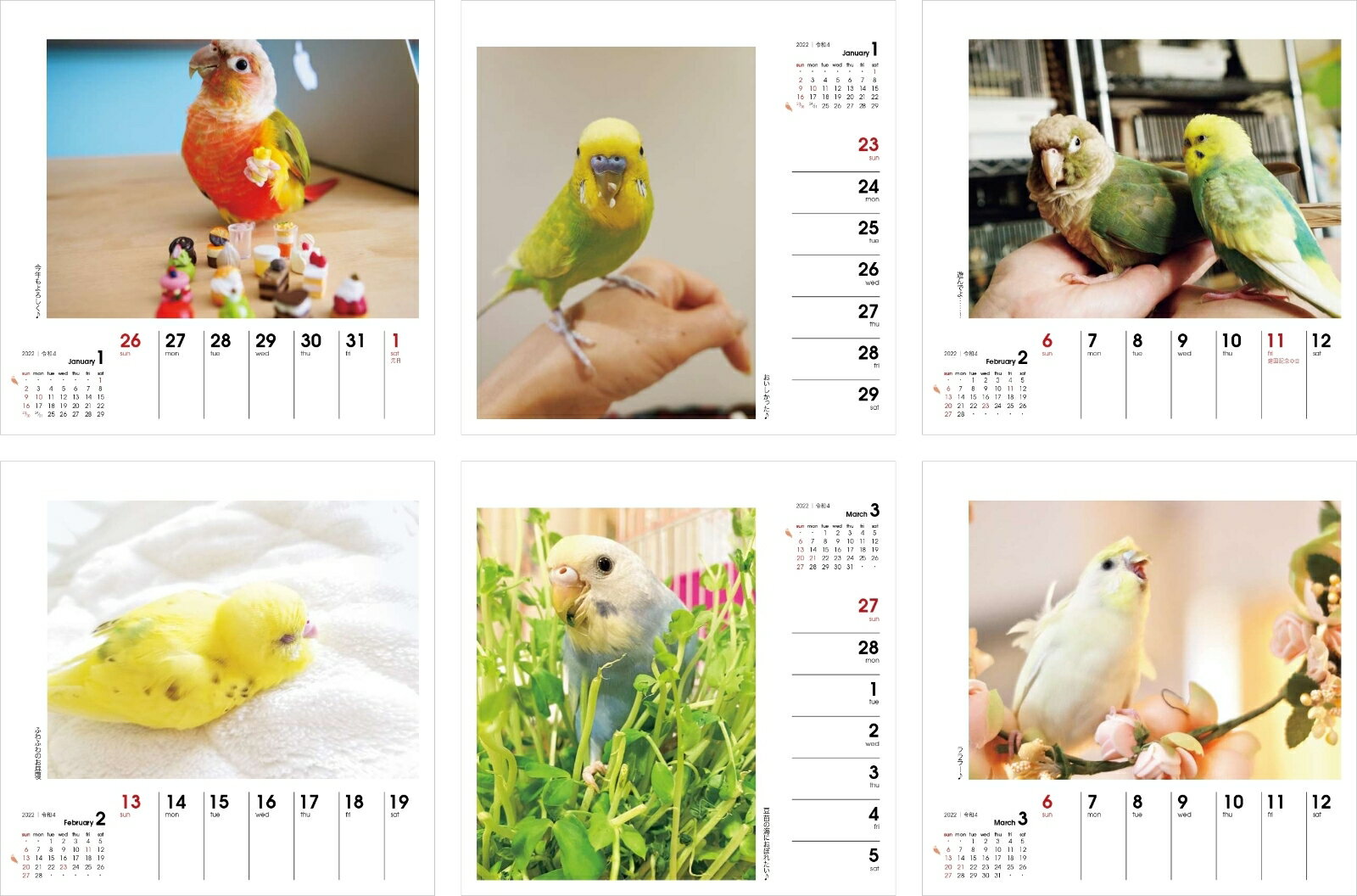 [商品価格に関しましては、リンクが作成された時点と現時点で情報が変更されている場合がございます。]