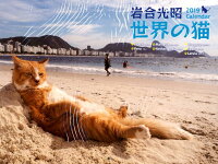 岩合光昭世界の猫カレンダー（2019）壁掛け