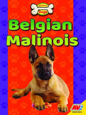 Belgian Malinois BELGIAN MALINOIS （All about Dogs） 