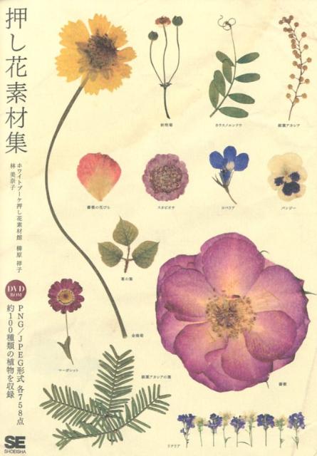 押し花素材集