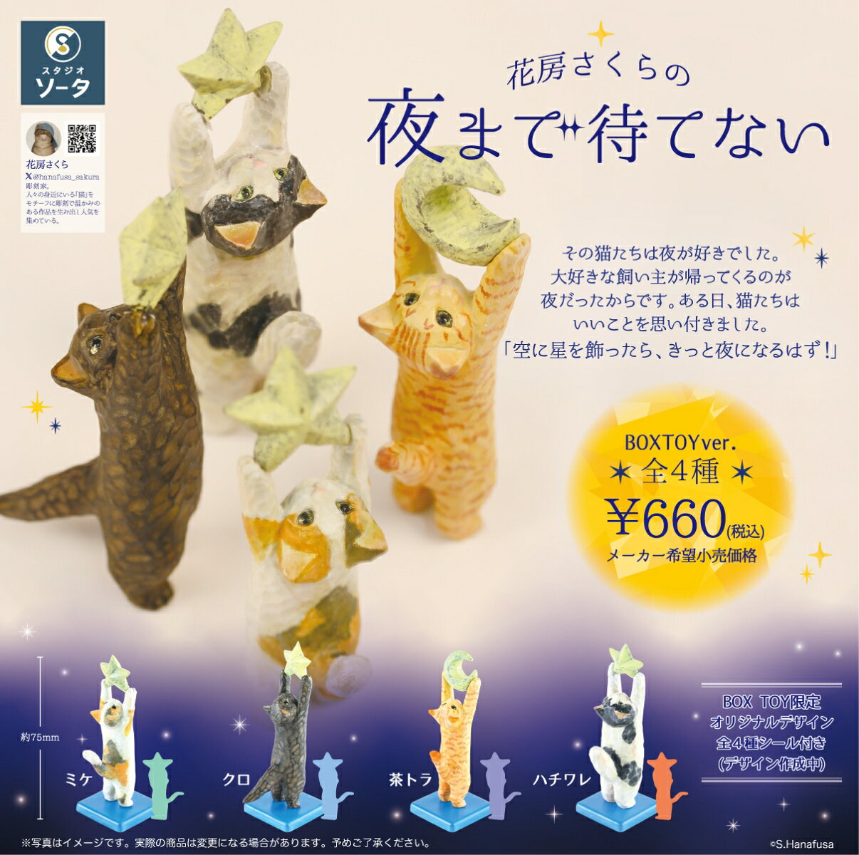 花房さくらの夜まで待てない (BOX)