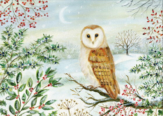 Barn Owl in Winter Deluxe Boxed Holiday Cards (20 Cards, 21 Self-Sealing Envelopes) BARN OWL IN WINTER DLX BOXED H [ Peter Pauper Press Inc ]