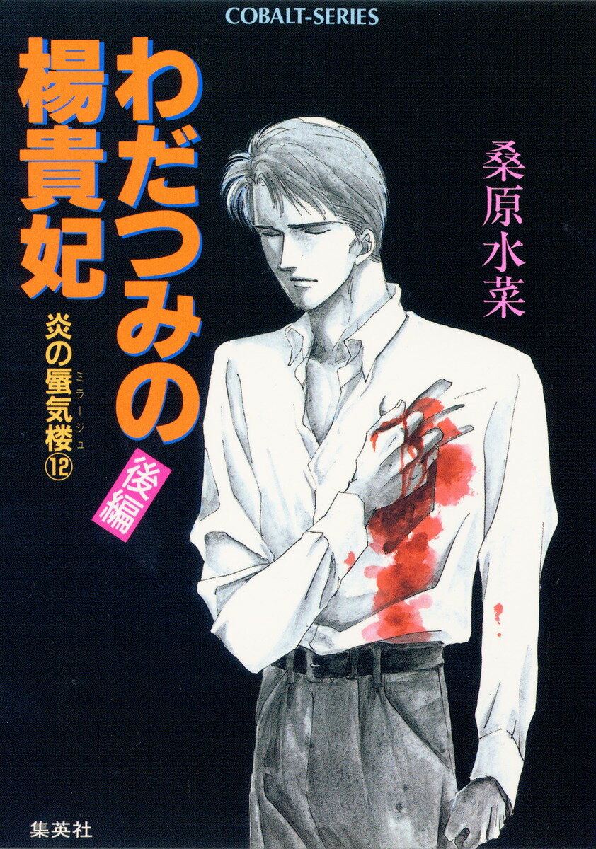 炎の蜃気楼（ミラージュ）（12）