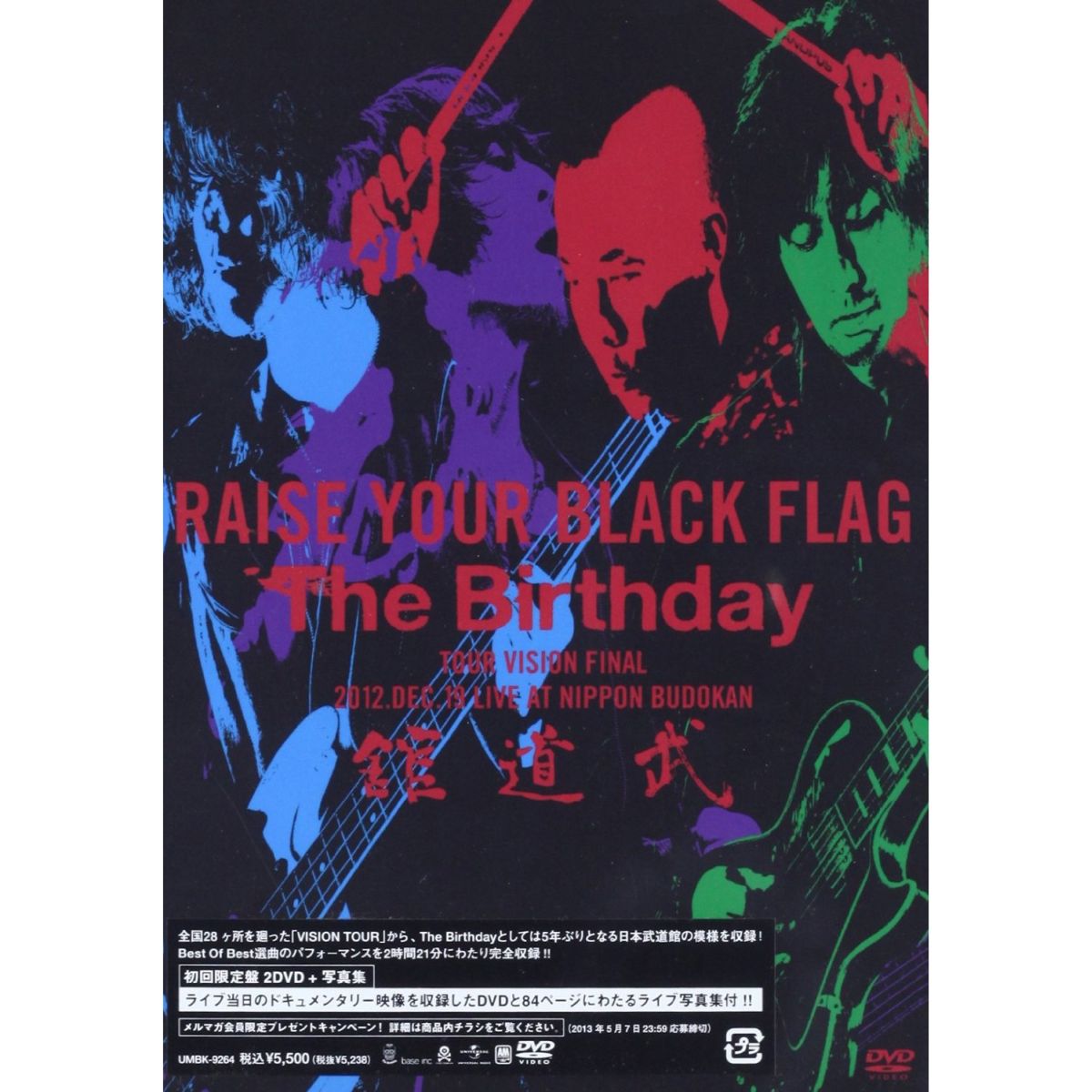 RAISE YOUR BLACK FLAG The Birthday Tour 2012 VISION FINAL 12.19 NIPPON BUDOUKAN [ The Birthday ]