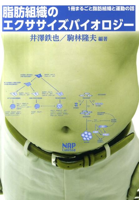 脂肪組織のエクササイズバイオロジー